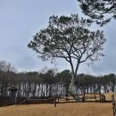 오산1리 마을회관 | 내포 백제부흥군길 5코스+ 6코스