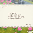 파니투어 이미지