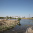 안성천 쉼터 이미지