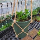 생활원예 야간 이미지