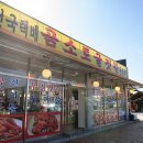 곰소토굴젓갈