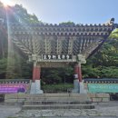 그린장앞골2교 | 2026.05.30. 해남 달마고도 트레킹