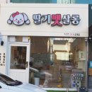 딸기펫살롱 이미지