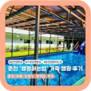캠핑하는 집 네이버블로그