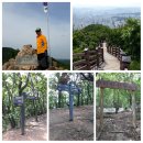 산본고가 삼거리 이미지