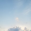 구룡장어식당 이미지