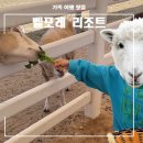 대전 근교 가족 여행지 추천 아이와 가볼 만한 곳 증평 벨포레 리조트 후기
