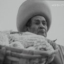 씨밀래