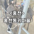 행복마을농장 | [홍천] 아이들과 하루 종일 뛰어놀기 좋은 홍천 체험농장, 동키마을 방문 후기