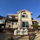 핫도그 애견 | 양평 애견동반 독채펜션 옥천산방라온 후기 (+두물머리 연잎 핫도그)