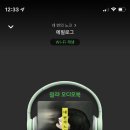 노크 이미지