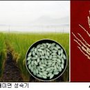 새미곡 티스토리