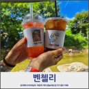 춘화로 | 춘천 계곡 카페 벤첼리, 아이와 물놀이 가능한 브런치 카페 후기