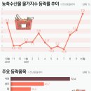부자과일 이미지