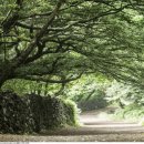 제주몽돌 이미지