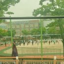 원동초등학교 이미지