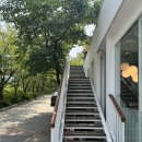 W1. 대구 야외웨딩 예식장 투어 (뉴욕뉴욕/륜/프리아 웨딩) 25년 하반기 예식