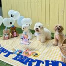 헬로우버디 광교점 이미지