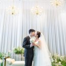 다르미앙 이미지