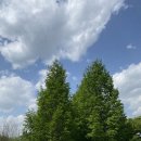 제천오토비즈 | 뷰 맛집 충북 제천 청풍호반캠핑장 : 내 돈 내산 후기 (feat. 스위스알파인클럽 제니스타텐트)