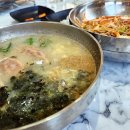 [양양]버스터미널 근처 맛집 메밀꽃막국수에 빠지다 내돈내산솔직후기