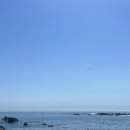 송대민박 | 경주 감포 스노쿨링 명소 [송대말등대] 가는길 꿀팁, 위치, 그늘막대여 23년 8월 5일 다녀간 후기 🏊🏻‍♂️🐠🥽