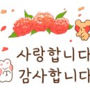 조경준의원