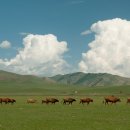 미소커뮤니케이션 이미지