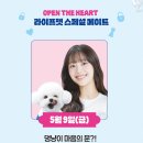 성수 핫플 팝업스토어 라이프펫 ♪ 강아지영양제 후기