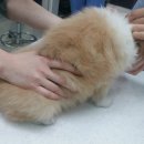 동현24시동물병원 이미지