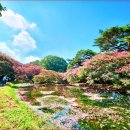 네모난 정원