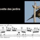프랑스 작곡가 올리비에 메시앙의 [새의 카탈로그] 이미지