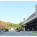 바람고개길 이미지