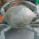 모항농장 이미지