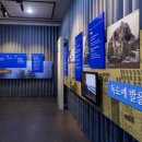 독도어부 이미지