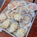 조개일번지 이미지