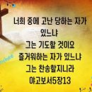 샬롬 Daum카페