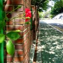 The Way