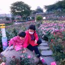 오십천둔치 이미지