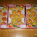 현숙이네 이미지