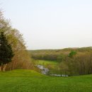 숲속골프 이미지