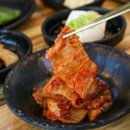 해안불고기 이미지