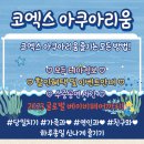 [당일치기] 코엑스 아쿠아리움 놀거리&주차&이벤트&할인혜택 이미지