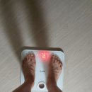 정식품영덕
