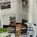 호다닥쑥 | OATTER] 초간단 다이어트 식단으로 추천! 쑥크림라떼맛 후기, 직장인 다이어트 도시락으로 좋은 오나오