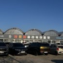 남사-4 | 남사 화훼단지 에르베플라워아울렛 가격 후기｜용인 대형 식물매장 규모 실화?