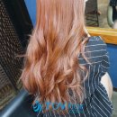 토브헤어 이미지