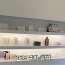 바이스킨숲