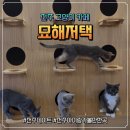 김재로묘입구 화장실 | ​[전주 데이트] 주차 편하고 쾌적한 100평대 전주 고양이 카페 묘해저택 집사 부부 힐링 후기
