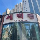 줄리아나 조선일보